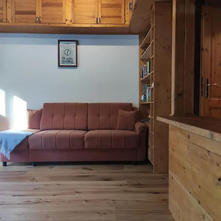 Perfekte Lage Zwischen Skipisten Und Badeseen Apartman Feldberg