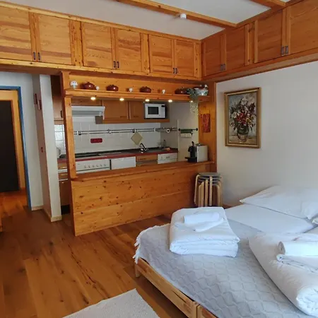 Perfekte Lage Zwischen Skipisten Und Badeseen Apartman Feldberg