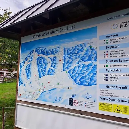 Perfekte Lage Zwischen Skipisten Und Badeseen Apartman Feldberg